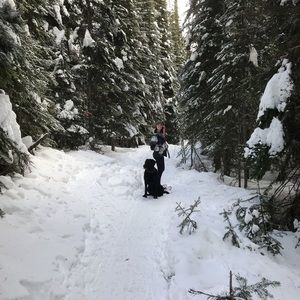 Meet your Posher, Ali